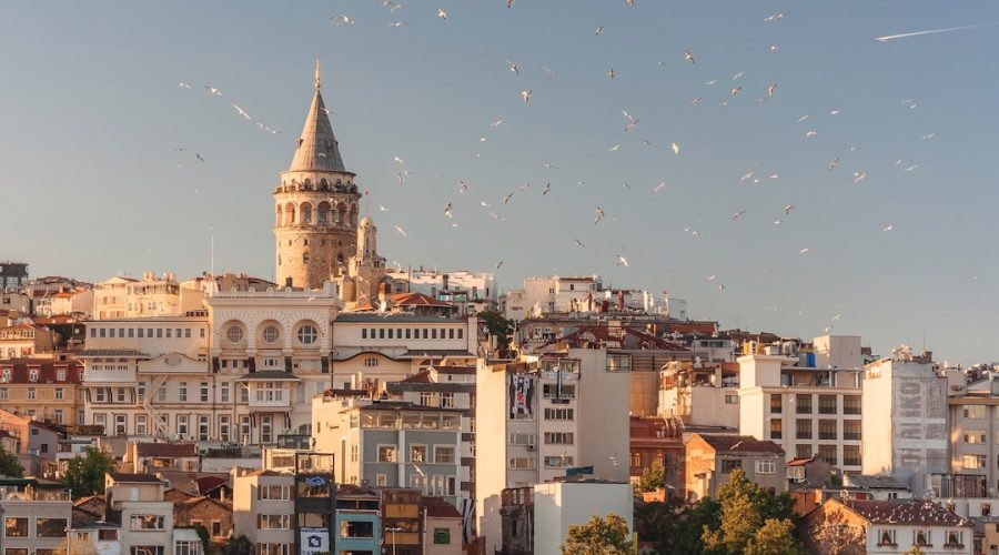 The Galata Tower rising above the cityscape of Istanbul with birds flying overhead